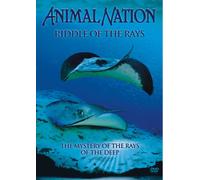 Animal Nation - Riddle Of The Rays [Edizione: Regno Unito]