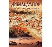 Animal Nation - The Ant That Ate America [Edizione: Regno Unito]