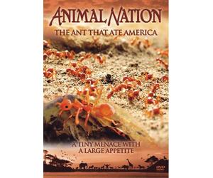 Animal Nation - The Ant That Ate America [Edizione: Regno Unito]