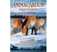 Animal Nation - Wild Horses - Return To China [Edizione: Regno Unito]