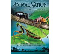 Animal Nation - World's Biggest Bugs [Edizione: Regno Unito]