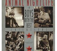 Animal Nightlife - BOYS WITH THE BEST INTENTIONS 7" (VINYL 45) UK TEN 1987