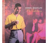 Animal Nightlife - Mr Solitaire