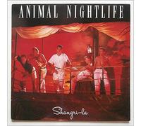 Animal Nightlife - Shangri-La