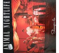 Animal Nightlife - Shangri-La