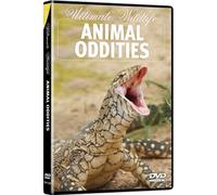 Animal Oddities - Animal Oddities