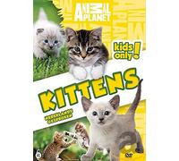 Animal planet - Kittens (DVD)