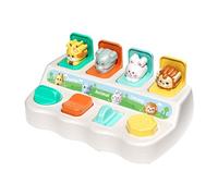 Animal Pop Toy Box, Color Sorting Toy, Pop Out Animal Box, Educational Toy, Colorful Developmental Toy, Learning Colors Toy, Animal Pop Out Box, Early Education Toy, Color Sorting Box for Kids