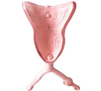 Animal Uterus Anatomical Model - Dog, Pig, Cow, Sheep, Horse Reproductive System Educational Tool for Doctors and Students(Dog)