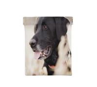 Animale Cane Labrador, Spremere il portafoglio superiore da donna Borsa portaoggetti Piccola portamonete Portamonete