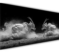 Animale Dipingere con i Numeri Antilope Dipingere con i Numeri Adulti Bambini, DIY Olio Painting by Numbers Kit, Vernice Acrilica Pennelli Decora la Casa Ragazze Regalo 50x150 cm (Senza Cornice) L1450
