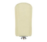 Animale Domestico Con Pietra Pomice Di Macinatura Del Pappagallo