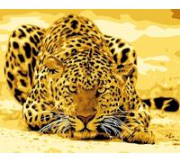 Animale leopardo giallo Dipingere con i Numeri Adulti,Fai da Te Paint by Numbers Kit con Pennelli Pittura a pigmento Acrilico per Adulti Bambini Olio su Tela Casa Parete Decor - con cornice,40x50cm