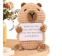Animali all'uncinetto | Animali a maglia, decorazione in tessuto ispiratore con biglietto divertente per la casa, la scrivania, la laurea, il lavoro, il compleanno, San