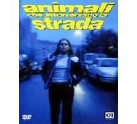 Animali Che Attraversano La Strada