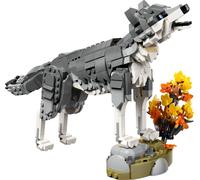 Animali della foresta: Lupo grigio