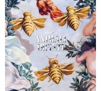 ANIMALI DIPINTI - ZUFFI STEFANO - 24 Ore Cultura