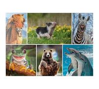 Animali divertenti - Collage n. 3 - Premium 1000 pezzi puzzle per adulti.