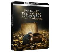 Animali fantastici e dove trovarli (4K Ultra HD + Blu-Ray Disc - SteelBook)