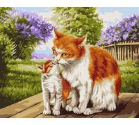 Animali felini Dipingere con i Numeri per Adulti,con Telaio Kit di pittura su Tela Set di Pittura a Olio Fai da Te con pennelli e Colori Acrilica Paint by Numbers Decora la casa Regalo 30x40 cm