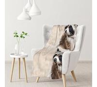 Animali intelligenti Procione Natura,Coperta morbida, calda, anti-pilling, in flanella, peluche, 76 x 102 cm