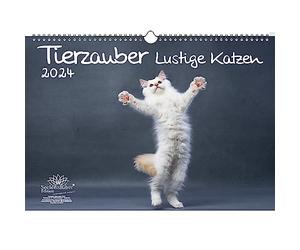 Animali magici divertenti gatti DIN A3 calendario per 2024 gatti divertenti - Incantesimo dell'anima