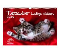 Animali magici divertenti gatti DIN A3 calendario per 2026 gatti divertenti - Contenuto del set: 1 calendario, 1 ciondolo natalizio, 1 ciondolo di auguri (3 pezzi totali)