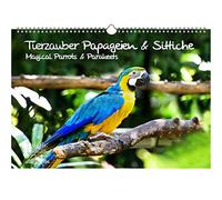 Animali magici pappagalli e parrocchetti DIN A3 Calendario perpetuo - Incantesimo dell'anima