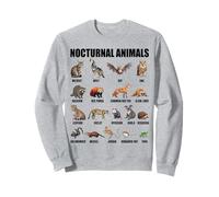 Animali notturni Educativi Fauna Selvatica Scienza Amante della Natura Felpa