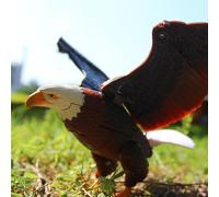 Animali Robot Giocattoli Educativi Trasformabili per Bambini in Età Prescolare