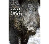 Animali selvatici a Modena. Piccola guida per conoscerli e capirne la gestione