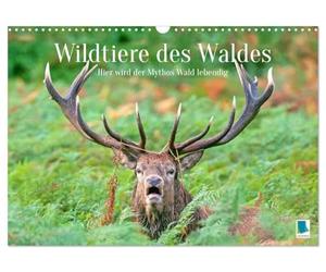 Animali selvatici della foresta: qui il mito della foresta diventa vivo (calendario da parete 2026 DIN A3 quer), Calendario mensile CALVENDO: incantevoli scatti di animali e rari momenti di