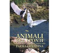 Animali tra i ponti. Invito all'osservazione della natura nella Parma cittadina