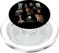 Animali Volpe Leone Tigre Orso Polare Giraffa Pinguino PopSockets PopGrip per MagSafe