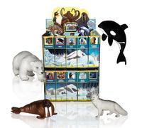 Animalpedia L'era Polare - Pack 4 animali - Giochi collezionabili per bambini. Giochi educativi, l'enciclopedia degli animali. Giocattoli in tpr morbidi. E (Orso - Orca - Tricheco - Volpe Artica)