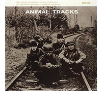 Animals - Animal Tracks