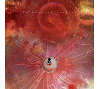 Animals As Leaders - Joy Of Motion