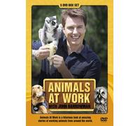 Animals At Work With John Barrowman [DVD] [2010] [Edizione: Regno Unito]