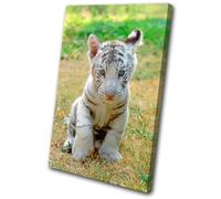 Animals Baby White Tiger SINGLE TELA parete arte foto stampa
