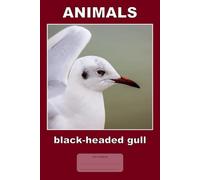 Animals - black-headed gull: This is just a notebook, beautiful low-content lined journal, 98 pages, 6x9, white paper, college ruled