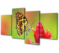 Animals Butterfly Flowers MULTI TELA parete arte foto stampa