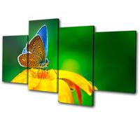 Animals Butterfly Flowers MULTI TELA parete arte foto stampa