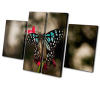 Animals Butterfly Flowers MULTI TELA parete arte foto stampa