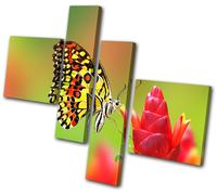 Animals Butterfly Flowers MULTI TELA parete arte foto stampa