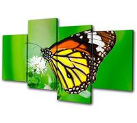 Animals Butterfly Flowers MULTI TELA parete arte foto stampa