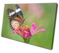 Animals Butterfly Flowers SINGLE TELA parete arte foto stampa