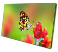 Animals Butterfly Flowers SINGLE TELA parete arte foto stampa