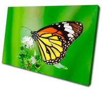 Animals Butterfly Flowers SINGLE TELA parete arte foto stampa