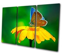 Animals Butterfly Flowers TREBLE TELA parete arte foto stampa