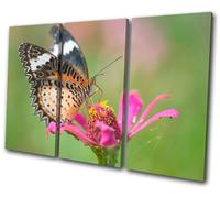 Animals Butterfly Flowers TREBLE TELA parete arte foto stampa